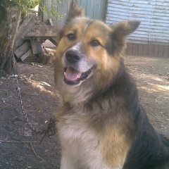 Евгений Свиридов, 23.01.1988, Днепр (Днепропетровск)