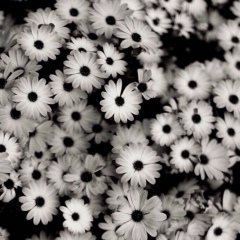 Roman Generalov, 17.01, Москва