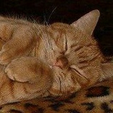 Алексей Меркулов, 13.01.1982, Королёв