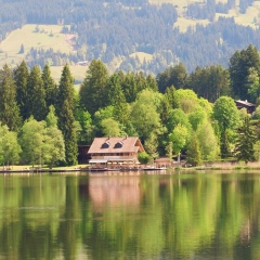 Евгения Фогель, 03.02