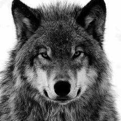 Александр Тен, 30.08.1996, Кызылорда