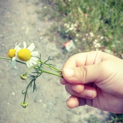 Жанара Дюшекеева, 23.05, Бишкек