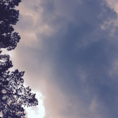 Рома Когай, 11.06, Астана