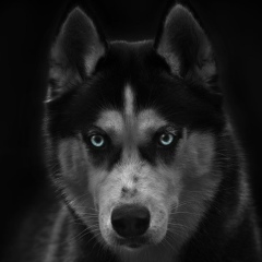 Даня Савин, 08.02