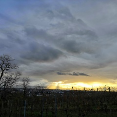 Valérie Hebinger, 15.10.1970, Colmar