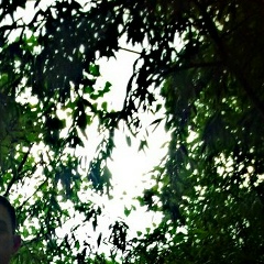 Василий Скосарев, 04.07.1990, Элиста