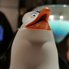 Кирилл Алтунин, 03.02.1995, Уфа