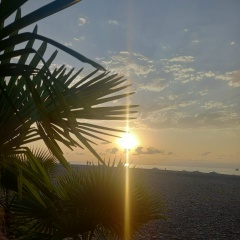 Husnoro B-S-M-S-H-D, 01.01.1987, Душанбе