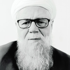 Закария Хазрат, 18.05, Пермь