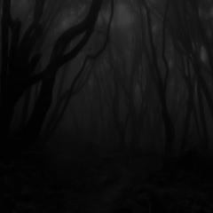 Zsolt Molnár, 17.07.1974