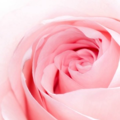 Нора Косанова, 27.11, Алматы