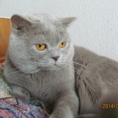 Семён Морозов, Харьков