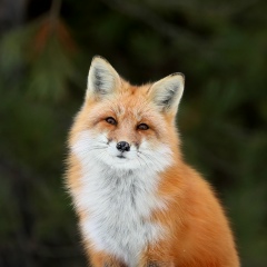 Олег Ткачёв, 30.03.1995, Москва