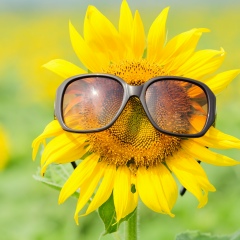 Николай Окулов, 21.09.1945