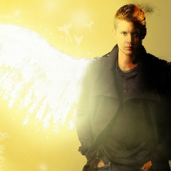 Victor Rotari, Кишинев