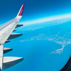 Ксения Мисаревич, 11.08.1988, Днепр (Днепропетровск)