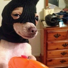 Валера Маленко, Одесса