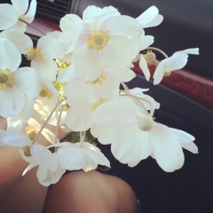 Катя Иванова, 01.01, Якутск