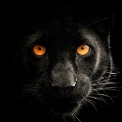 Елизавета Степашова, 19.04, Алматы