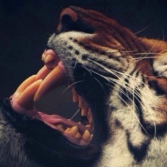 Жига Максутов, 15.07.1996, Алматы