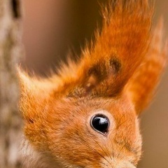 Ольга Кузнецова, 05.09