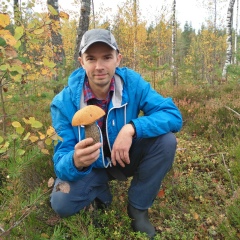 Михаил Агапов, 11.11, Санкт-Петербург