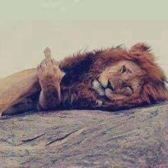 Рамаз ™, 06.02, Актау