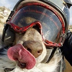 Андрей Буряк, 04.10.1986, Москва