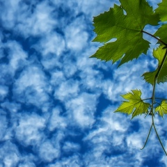 София , 21.10.1992