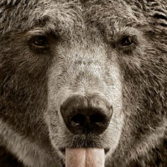 Andrey Ivanov, Санкт-Петербург