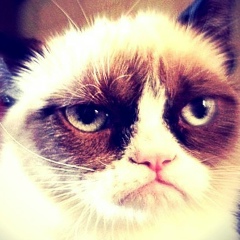 Андрей Тян, Екатеринбург