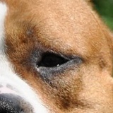 Кирилл Гриднев, 10.03