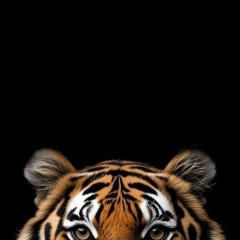 Александр Коротаев, Москва