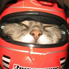 Максим Закускин, 03.10.1981, Санкт-Петербург