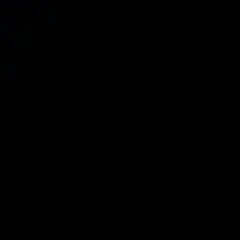 Ирина Мацкевич, Санкт-Петербург