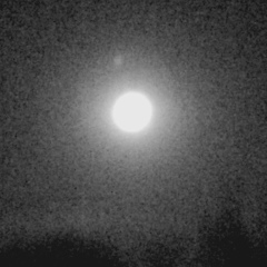 Лука Бразидзе, Москва