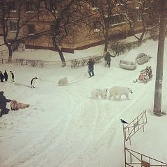 Артур Иванов, Ноябрьск