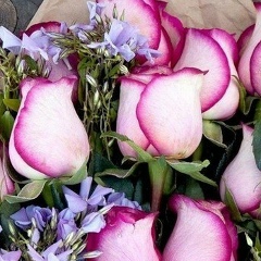 Алсу Гарипова, 07.05.1989, Казань