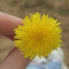 Влада Портнова, 30.03, Оренбург