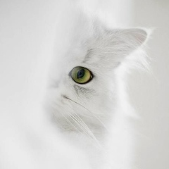 Оксана Мелюх, 03.05.1969, Москва