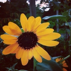 Алия Измагамбет, 17.07, Атырау