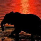 Максим Иванов, 24.06, Санкт-Петербург