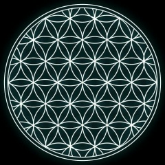 Сергей Семенков, 29.03, Санкт-Петербург