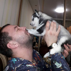 Арсен Демченко, 14.02.1990, Киев