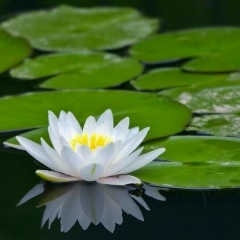 Soe-Ma-Ma Htet, 09.03.1992, Mandalay