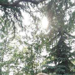 Максим Ильясов, 06.08.1985, Атырау