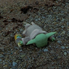 Татьяна Исаева, 09.11, Москва