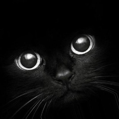 Александра Александрова, 12.03, Санкт-Петербург