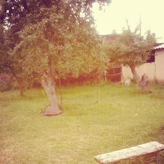 Баина Чедырова