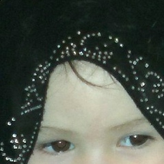 Селима Мамацуева, Düsseldorf